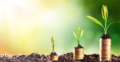 Top Tips for New Investors